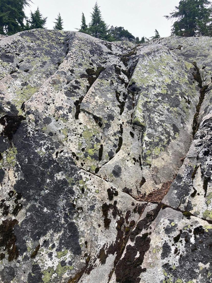 This is a photo of rocks on the way to Mount Pilchuck.